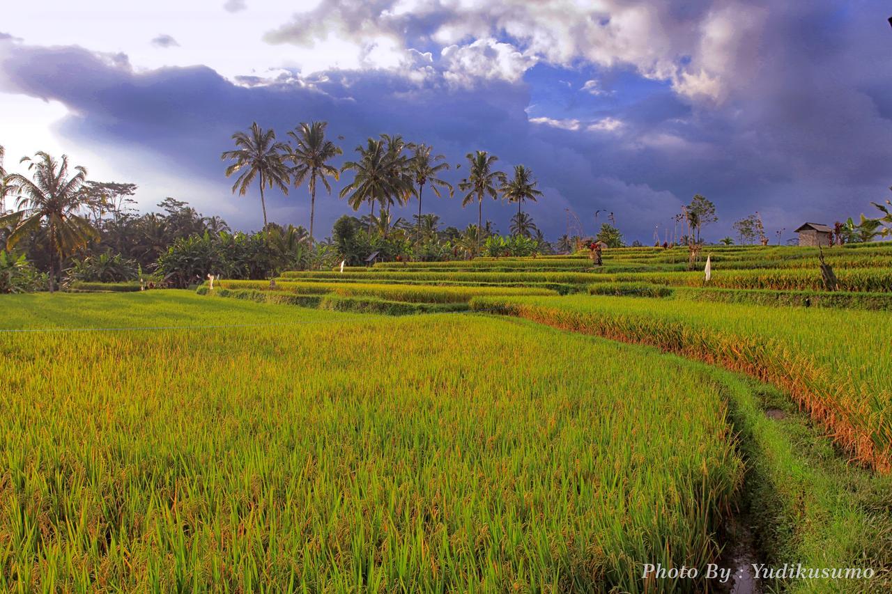 Tetirah Boutique Hotel Ubud  Bagian luar foto