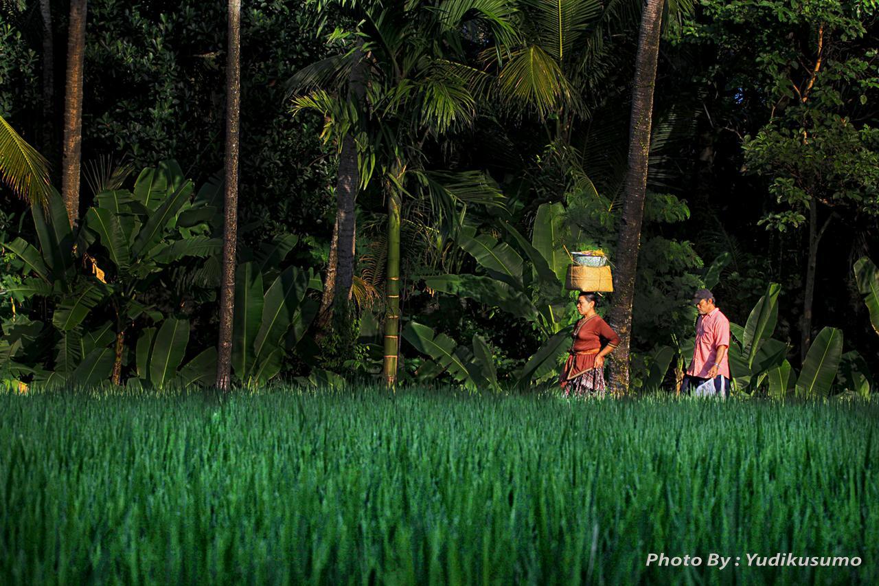 Tetirah Boutique Hotel Ubud  Bagian luar foto